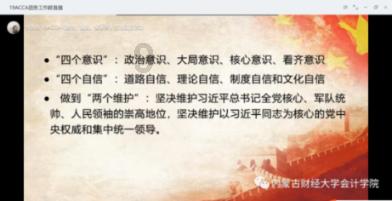 救援袋鼬